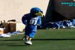 Bloopers de mascotas