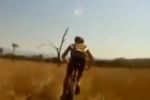 Ant&iacute;lope vs. ciclista