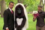 Se casa con un gorila