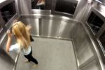 Broma pesada: bichos en el elevador