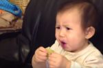 Bebés probando limón por primera vez