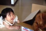 Bebés riendo con los gatos más divertidos
