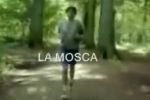 Mosca atraviesa el cuerpo humano