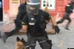 Increible entrenamiento policial 