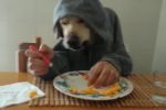 El perro que come como humano